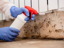 Best Emergency Mold Remediation  in St Clair, MI